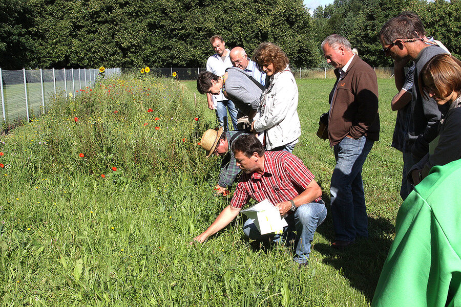 Testansaaten mit Wildsaatgut im Versuchsgarten der Hochschule
